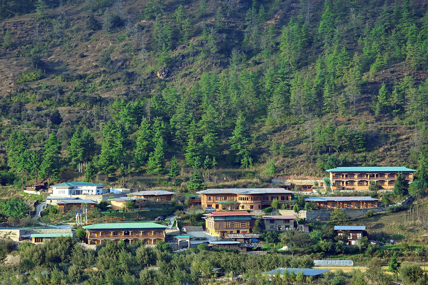 Rema Resort