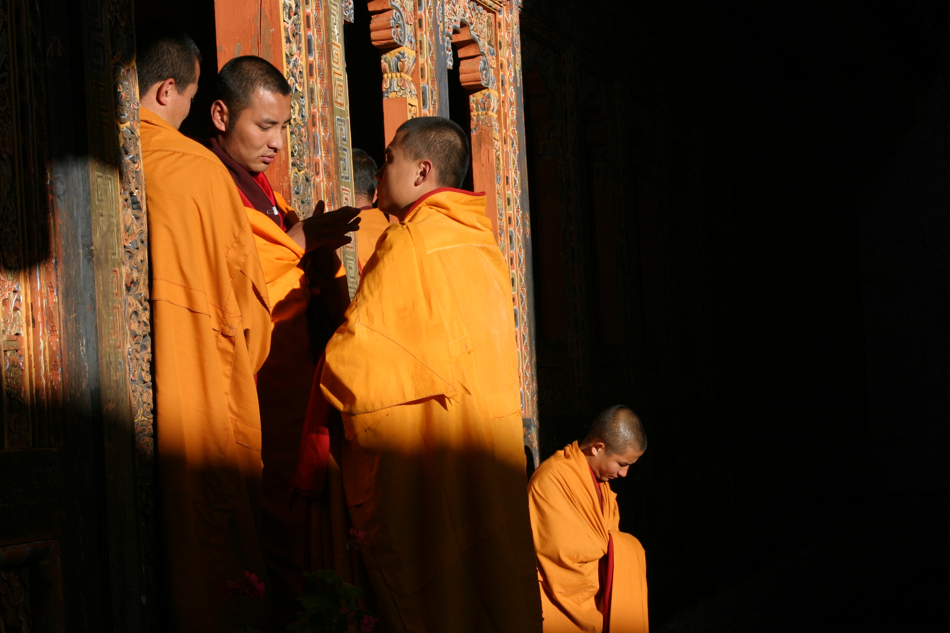 photo